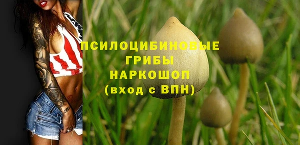 скорость Алзамай