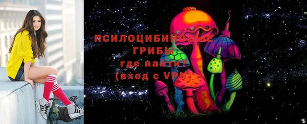 дживик Алексеевка